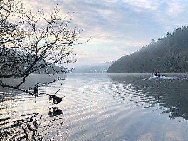 Misty Morning Reflections